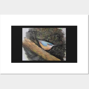 Nuthatch Posters and Art